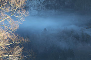 brume bleue brume bleue