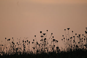 Abendstimmung 