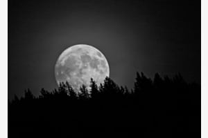 Moonrise Moonrise