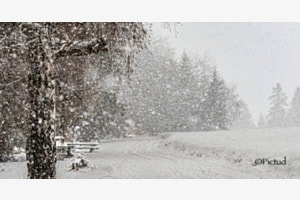 Brume hivernale Brume hivernale