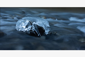 Eisqualle