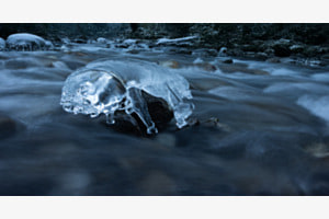 Eisqualle mit KI-Hintergrund