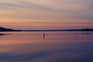 Greifensee in der Stille
