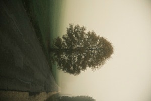 Nebel im Jura Nebel im Jura