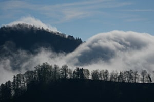 Nebelgewellt
