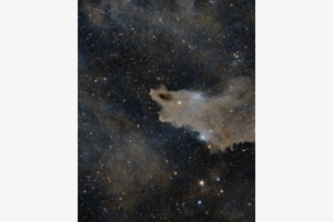 Dark Shark Nebula Dark Shark Nebula