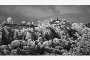 Frosty Contrast