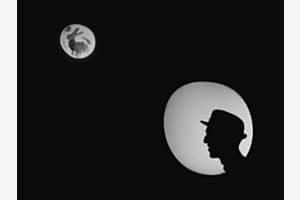 Rabbit on the moon Rabbit on the moon