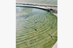 Wasser und los