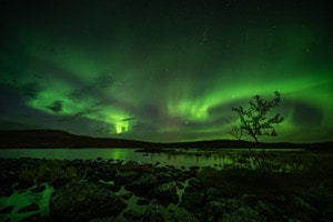 Grüne Nacht