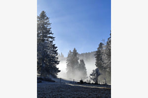 Nebel