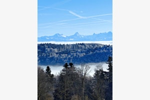 Nebelmeer 