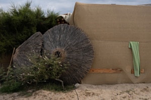 Behind the Beachbar in Chalkidiki 