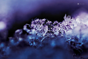 Eiskristalle 