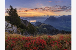 Herbstfarben Herbstfarben