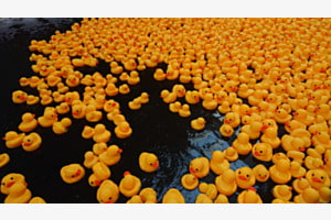 Overtourism 🐣