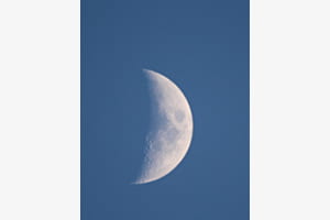 Halfmoon