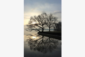 Morgenstimmung am See Morgenstimmung am See