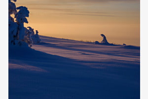 Winterwonderland Winterwonderland