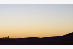 Sahara Sahara
