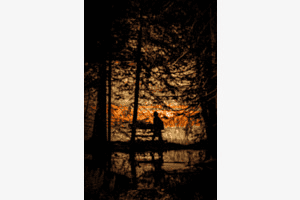 Behind the trees