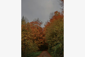 Farbenfroh 