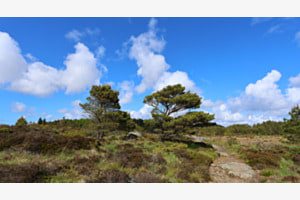 Spaziergang in Norwegen...