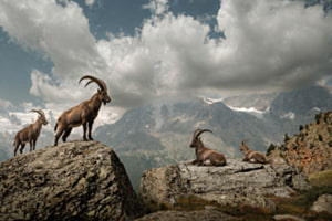 Wo die Berge den Himmel treffen