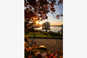 Abendgruss über dem Thunersee Abendgruss über dem Thunersee