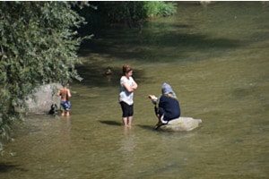 Gespräche im Wasser