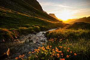 Goldig leuchtende Morgensonne 