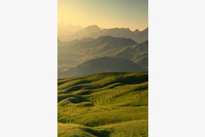 50 Shades of Green