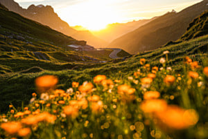 Glanzvoller Morgenmoment Glanzvoller Morgenmoment