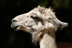 Neue Frisur