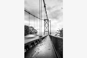 Die Brücke 