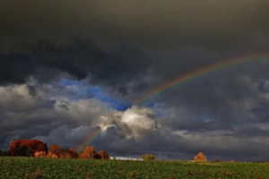Nach dem Regen