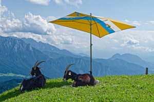 Alpsommer