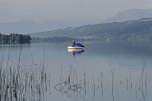 Frühmorgens am Hallwilersee