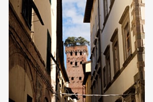 Torre Guinigi Torre Guinigi