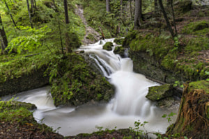 Fluss im Allgäu