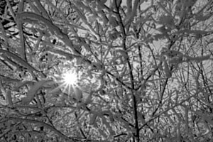 Wintersonne