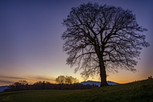 Blue hour Blue hour