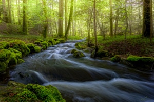 Im Fluss