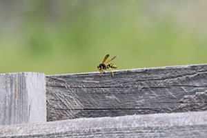 Ready to take Off...
