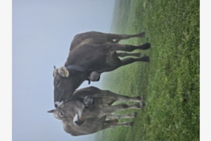 Liebevoller Umgang