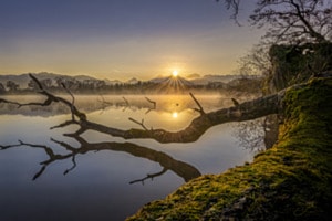 Reflection