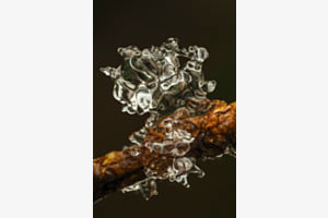 Was vom Winter übrigbleibt Was vom Winter übrigbleibt