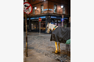 Dublin/IRL - Which Way To Go Dublin/IRL - Which Way To Go