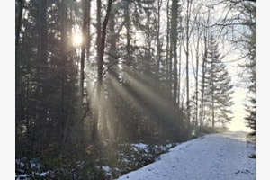 Wintersonne