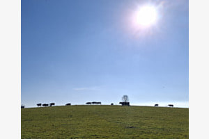 Vorfrühling Vorfrühling